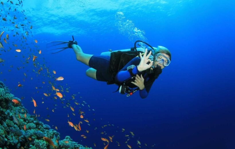 Private Boat Snorkeling Trip (Half Day)