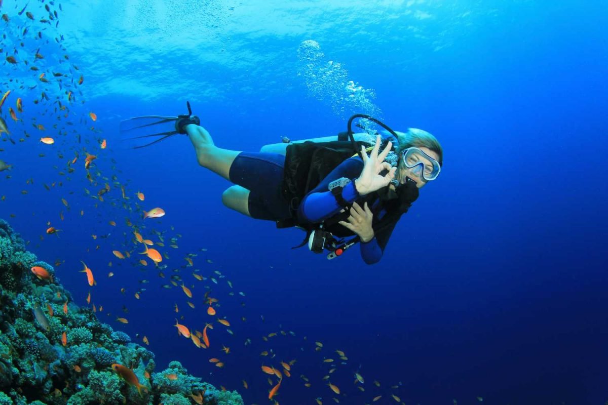 private snorkeling trip daymaniyat island