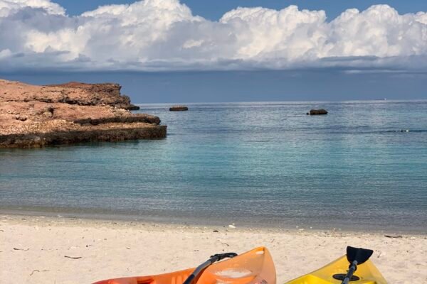 Private Boat Snorkeling Trip (Full Day)