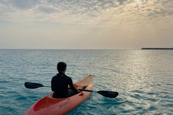 Private Boat Snorkeling Trip (Full Day)