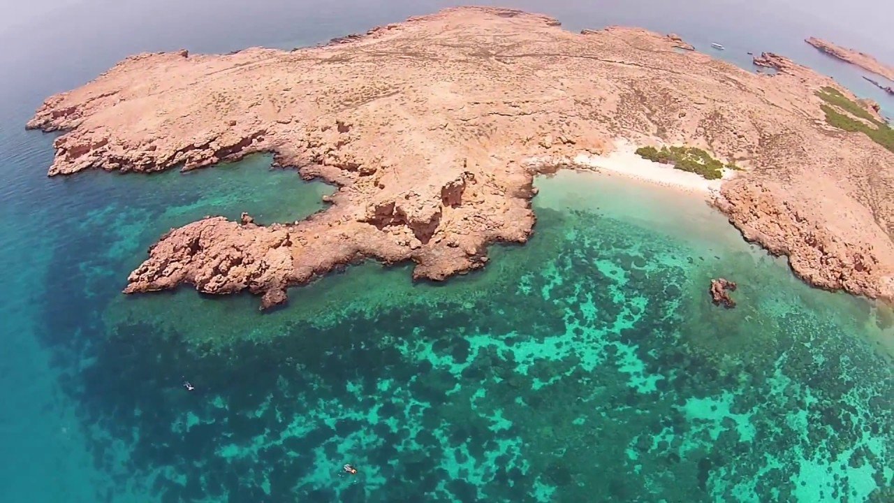 private snorkeling trip daymaniyat island