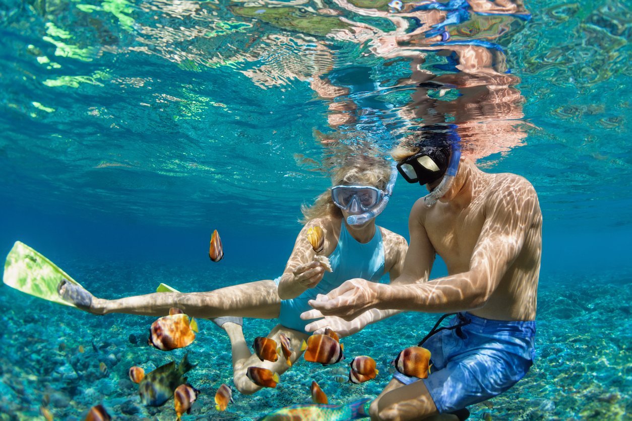 private snorkeling trip daymaniyat island