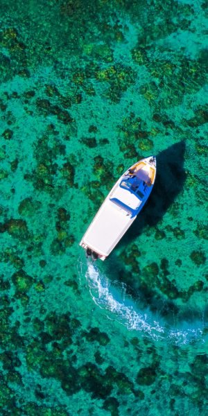 Copy of DJI_0233